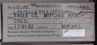 Image Associated With the Occurence